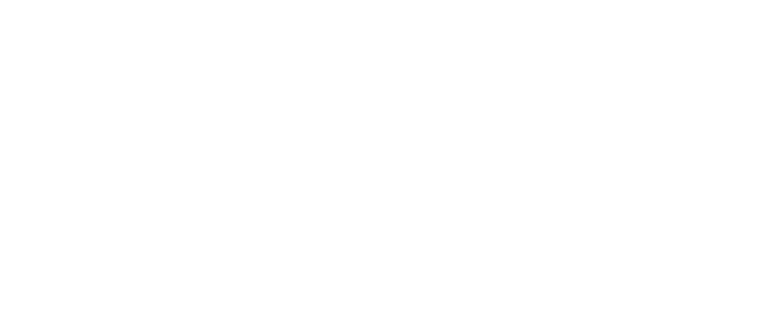 Taloushallintoliitto auktorisoitu